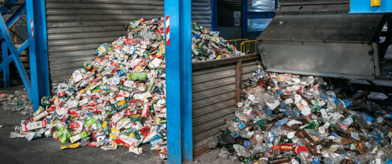 The Humongous Problem Of Food Waste And Everything You Need